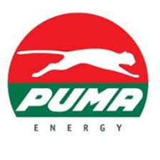 puma energie